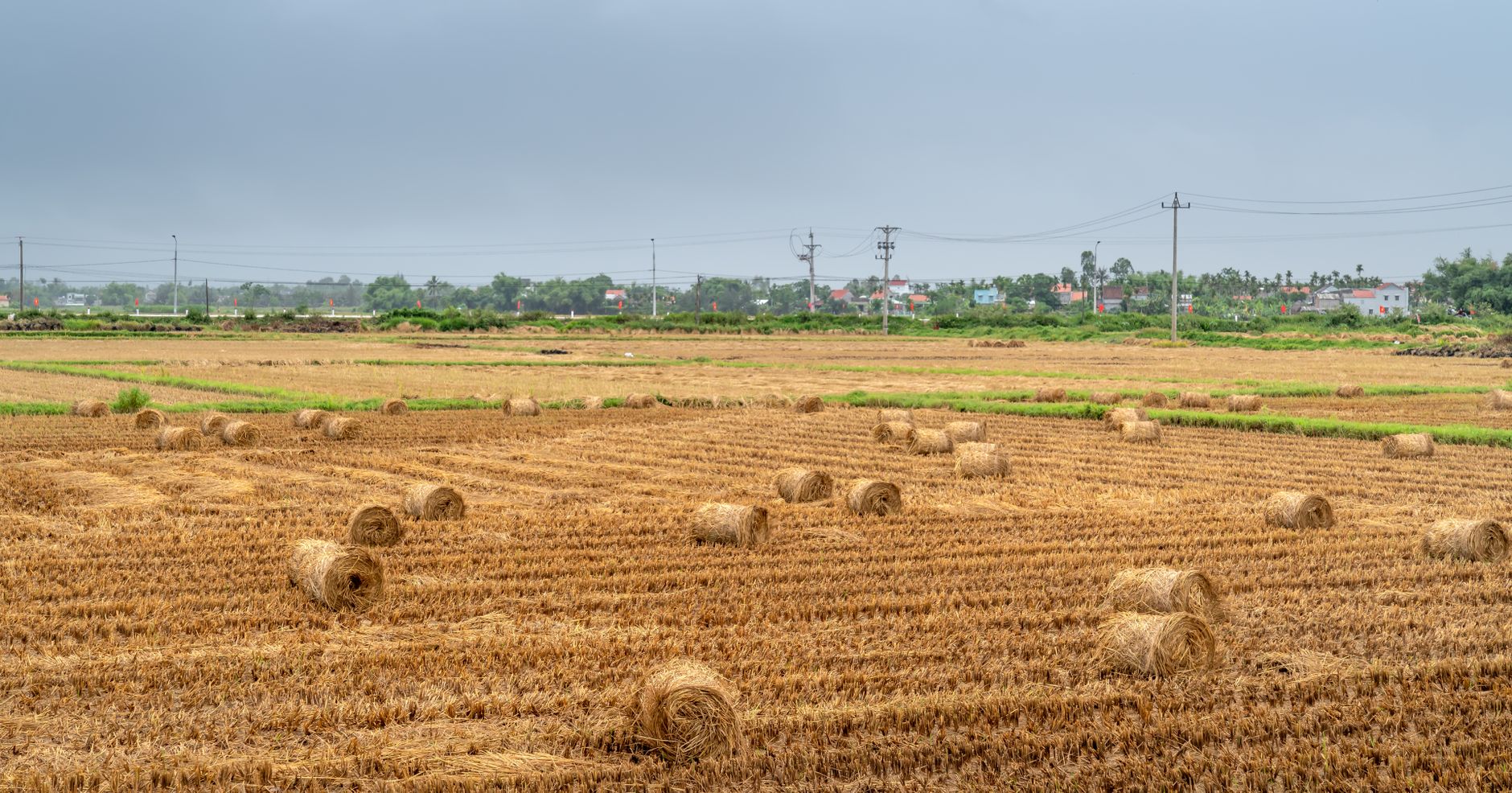 Expansive agricultural field with scattered hay bales under a cloudy sky.