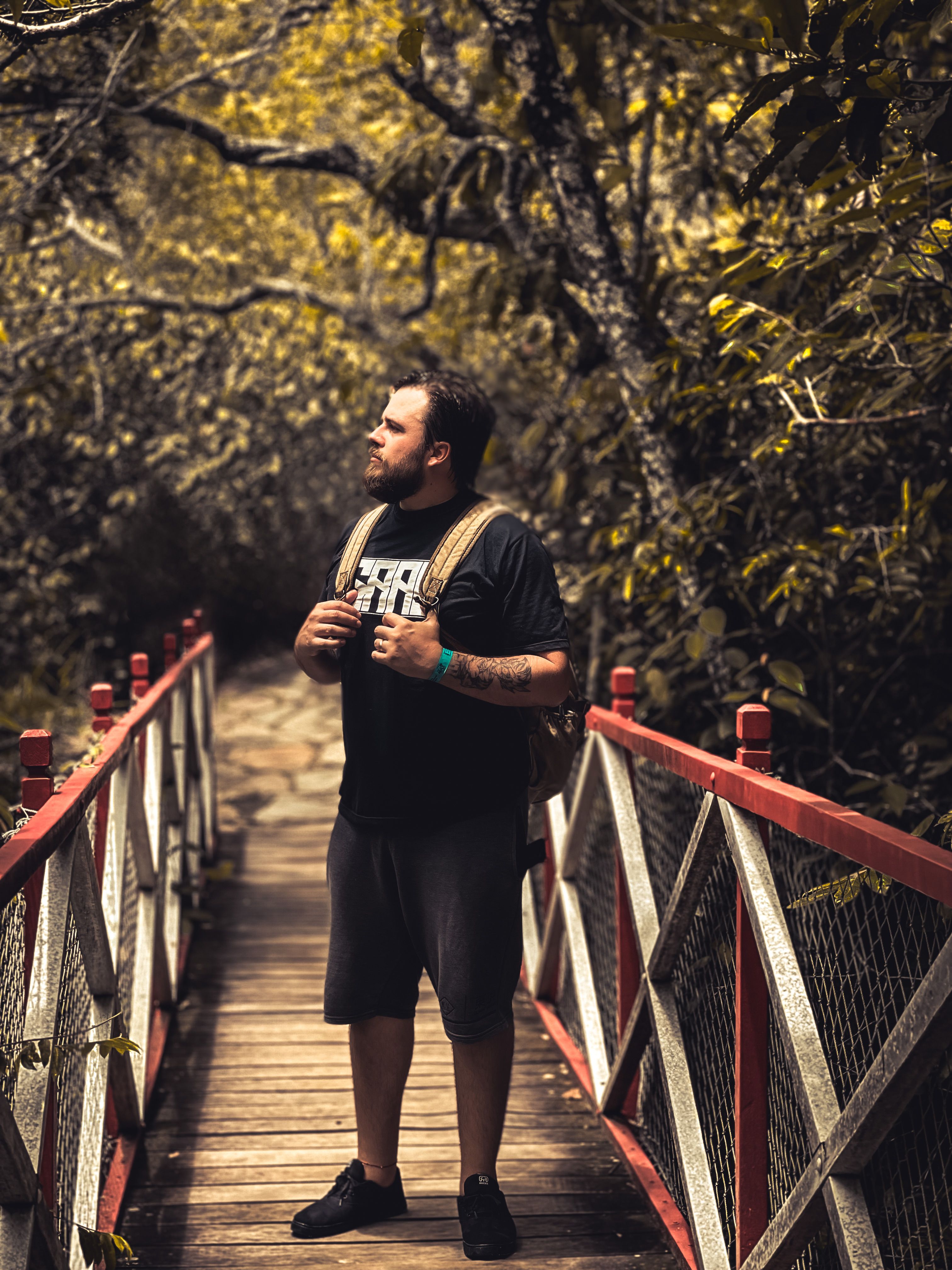 A man stands on a wooden bridge surrounded by dense, green forest.