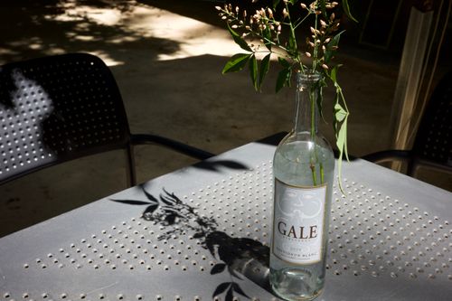 Free A glass bottle with leaves casts a shadow on a perforated table in natural light. Stock Photo