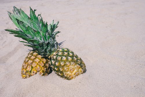Kostenlos Zwei Gelbe Ananasfrüchte Auf Sand Gelagert Stock-Foto
