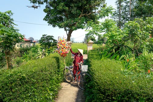 คลังภาพถ่ายฟรี ของ จักรยาน, ต้นไม้, ผู้หญิง