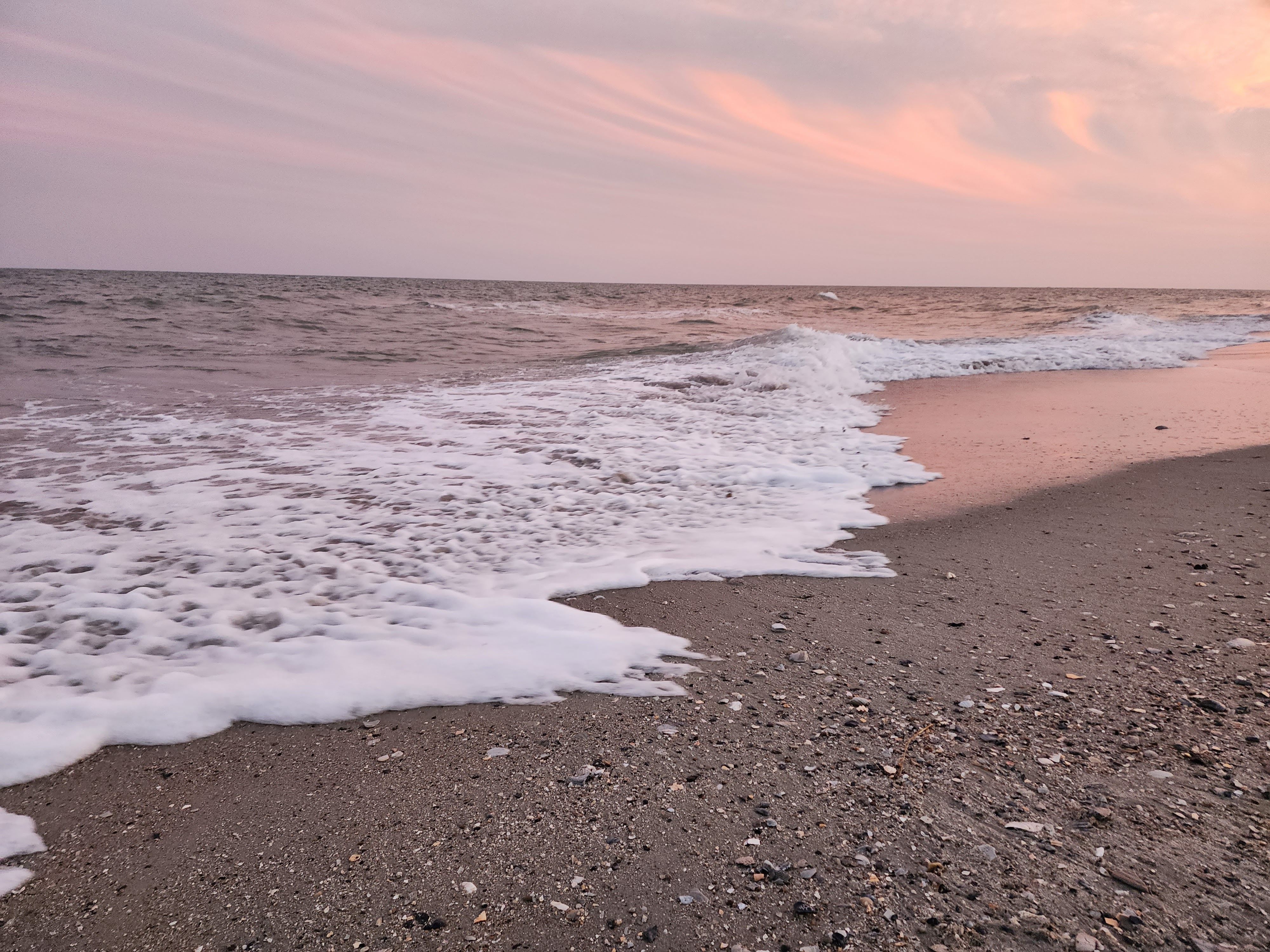 Large Trailer Rental