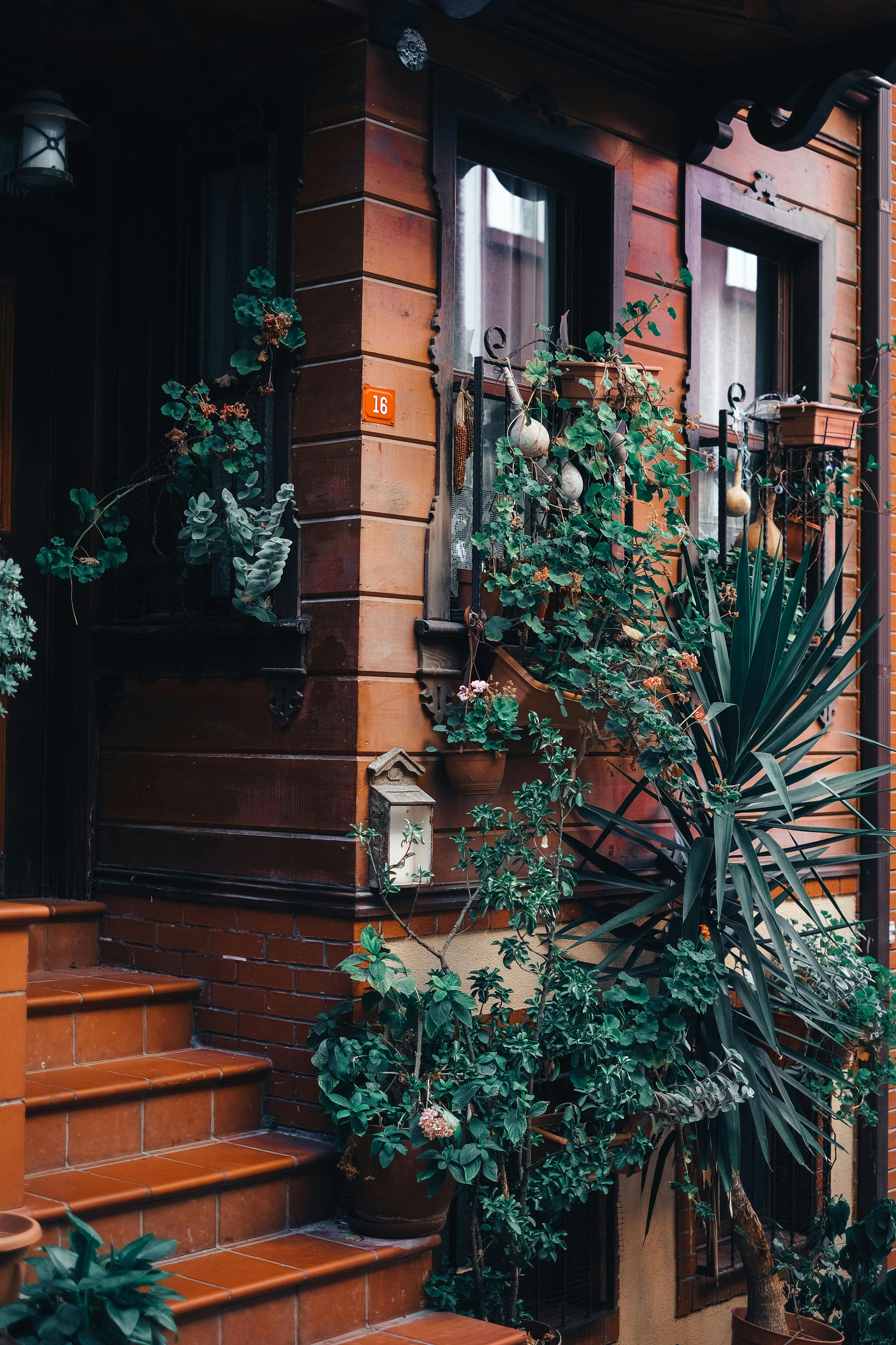 Gratuit Imagine de stoc gratuită din 35mmfilm, acasă, acoperită cu iederă Fotografie de stoc