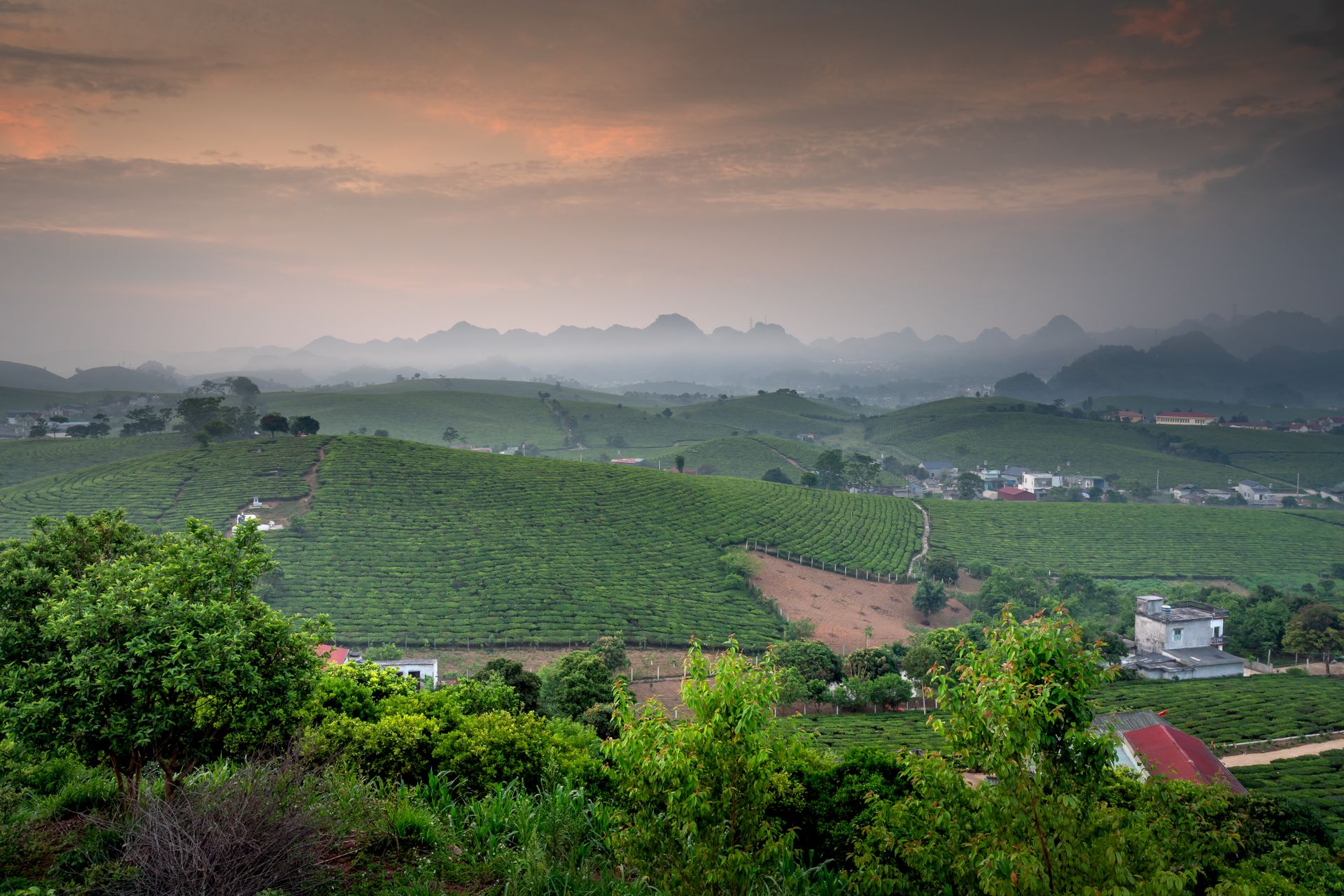 Picturesque landscape of lush green farmland and rolling hills at sunrise.