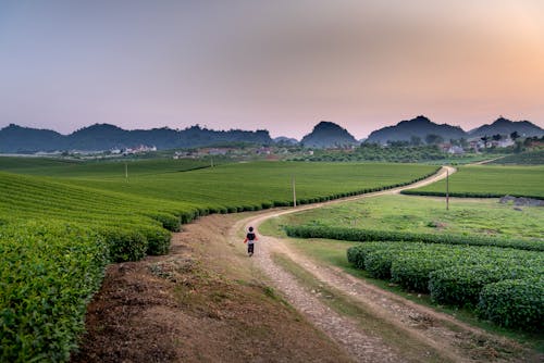 Gratis lagerfoto af bakker, barn, landdistrikt