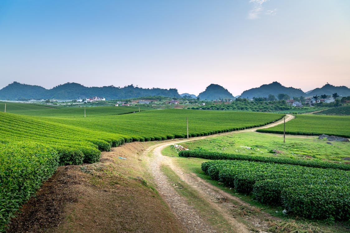 Green Grass Field Near Mountain Under Blue Sky