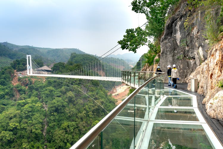 Bach Long Glass Bridge Stretching Over A Forested Valley