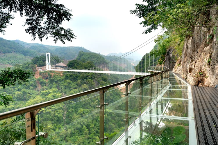 Bach Long Glass Bridge In Moc Chau District, Son La Province, Vietnam 