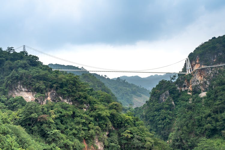 Bach Long Bridge And Surrounding Landscape