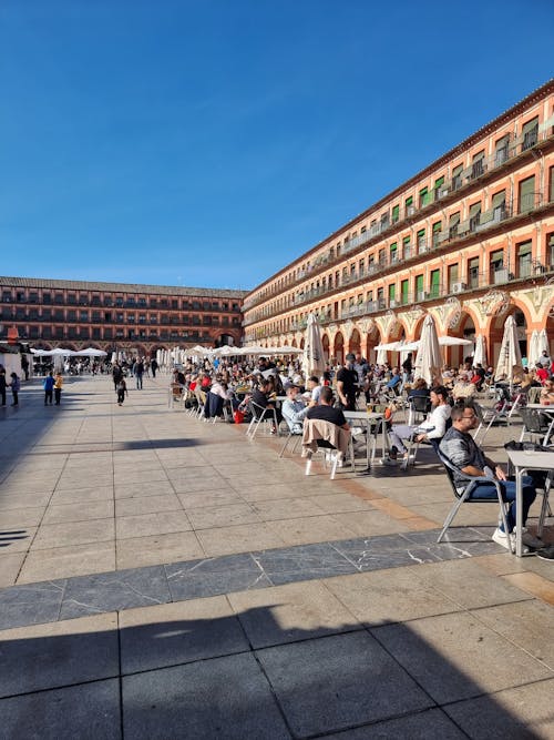 People Sitting on Chairs Near a Building