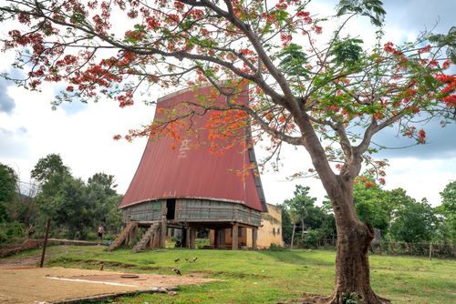 Free Stunning view of a traditional Vietnamese stilt house with a red roof amid lush greenery and vibrant spring blooms. Stock Photo
