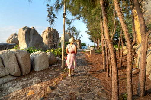 Woman in Pink Dress Standing beside Brown Trees