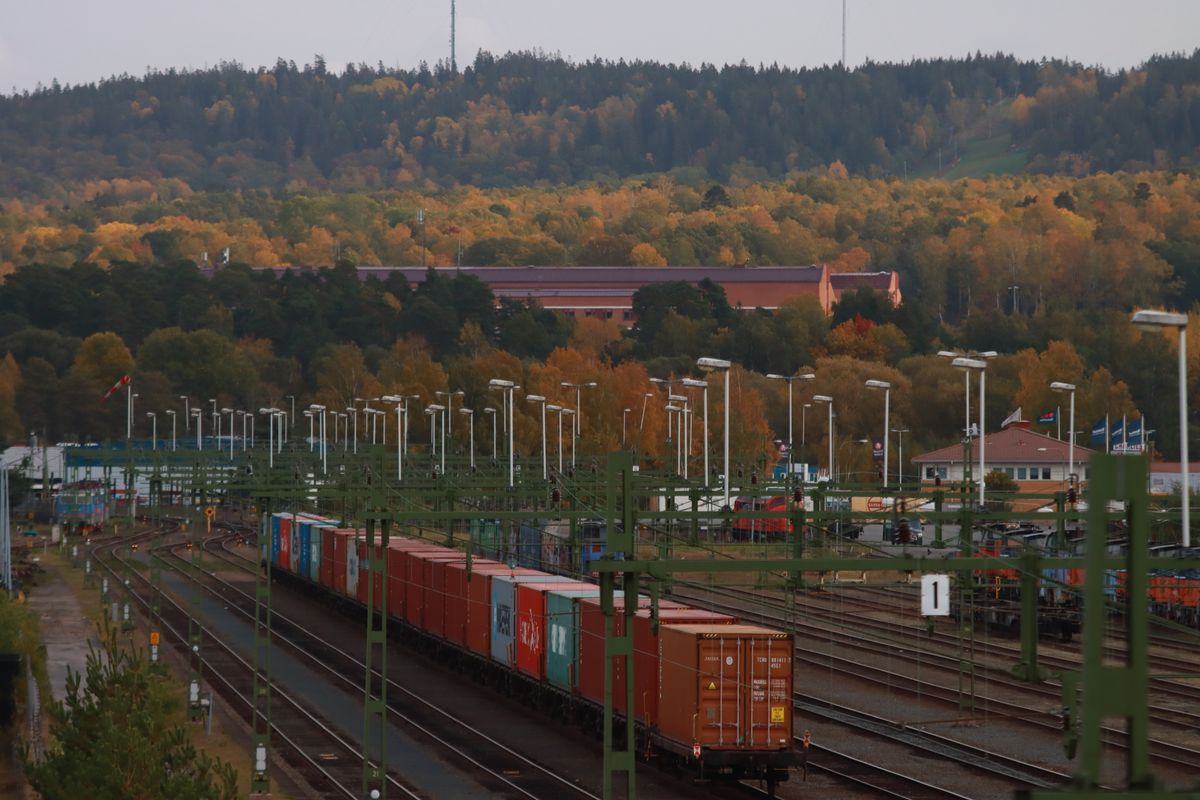 Cargo train with shipping containers on a rail freight route