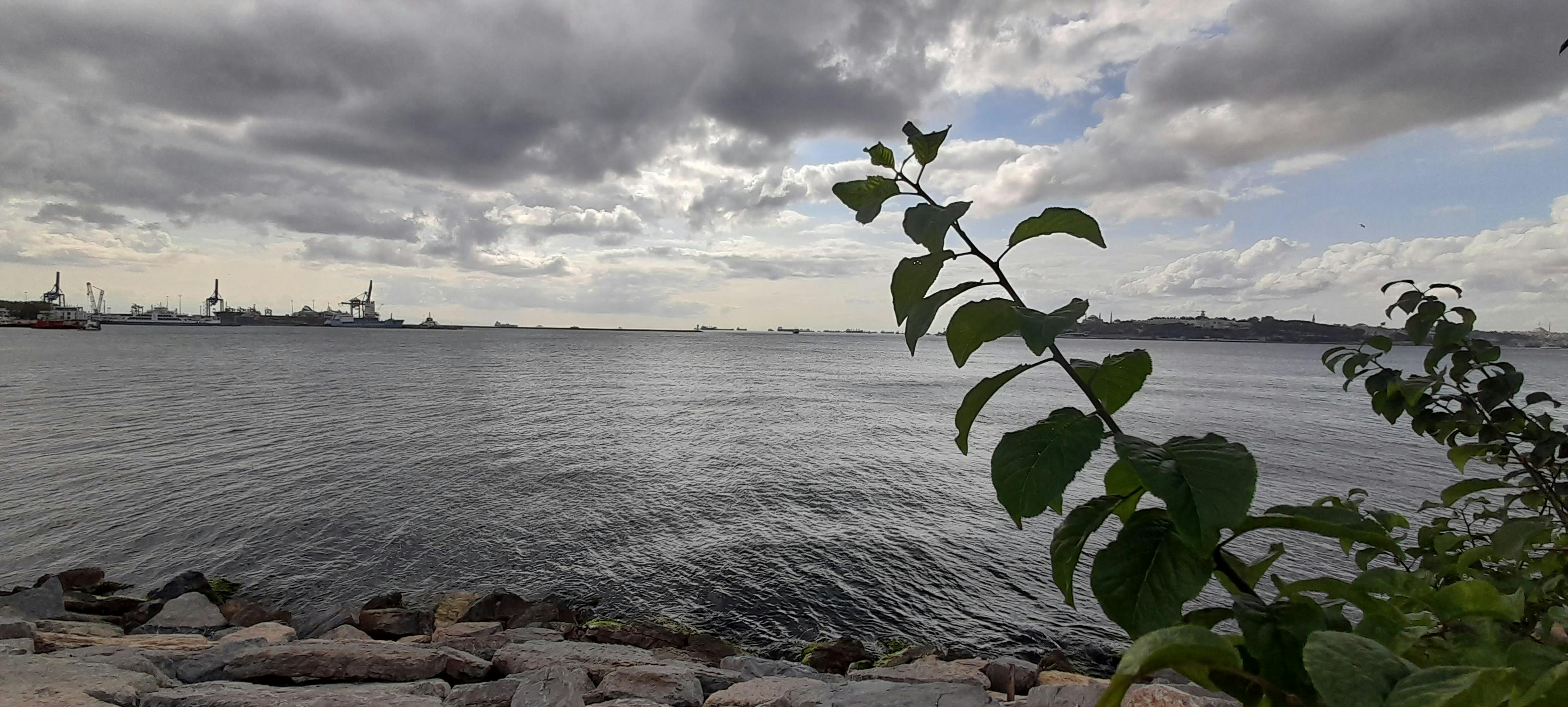 Porcelain Perfection Mug