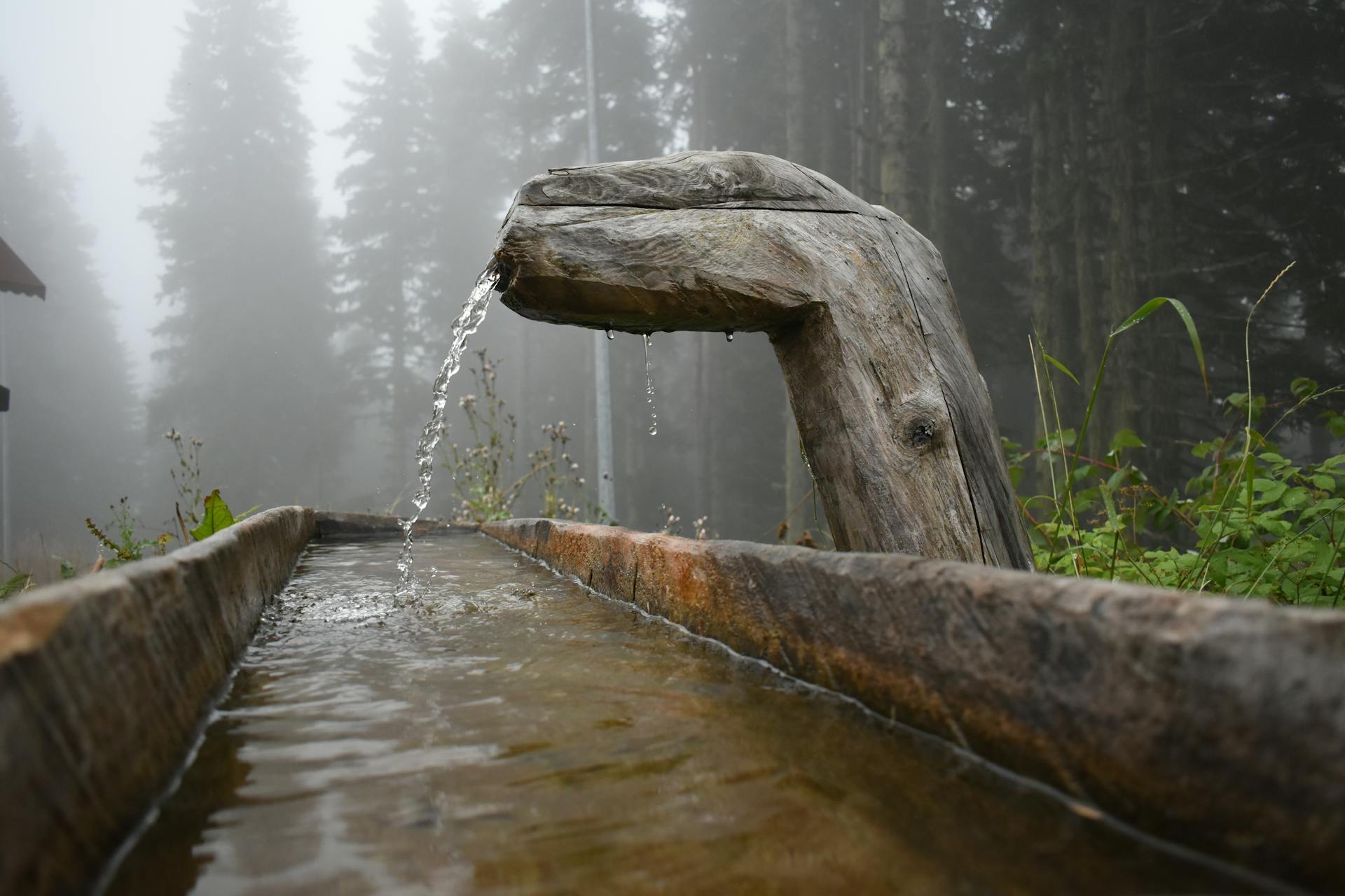 Brown Wooden Log on Water