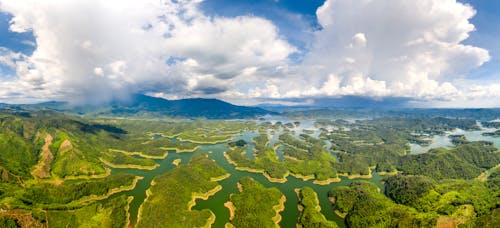 Fotos de stock gratuitas de bosques, cielo nublado, đăk nông