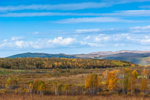 Free Vibrant autumn landscape showcasing rolling hills, yellow trees, and expansive blue sky. Stock Photo