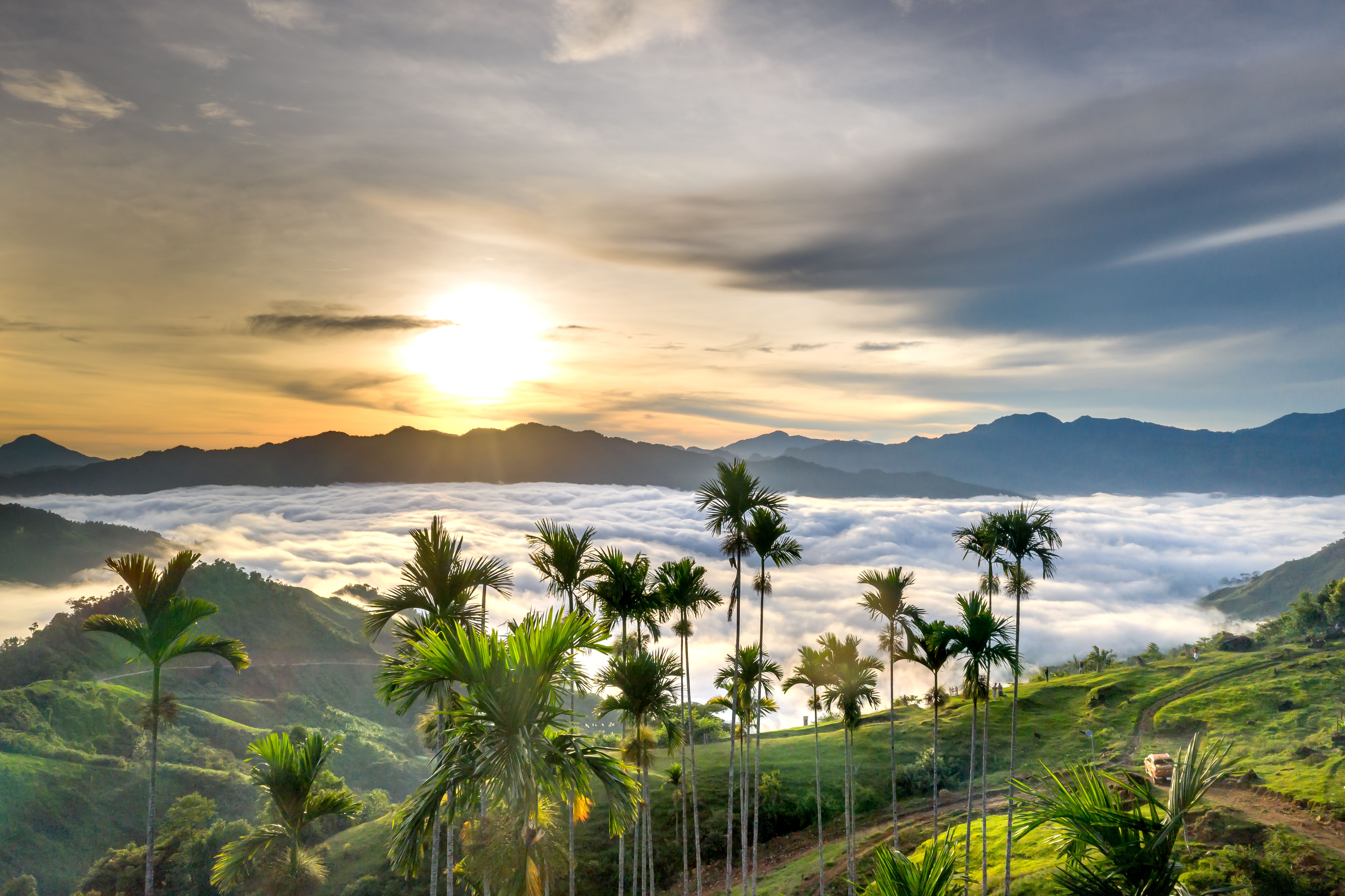 Billet retour Costa Rica 2026 : faut-il un dummy ticket pour entrer ?
