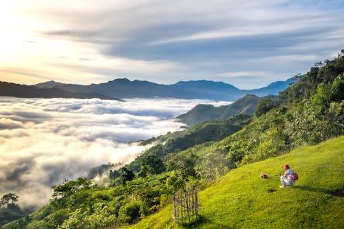 壁紙, 山, 山丘 的 免费素材图片