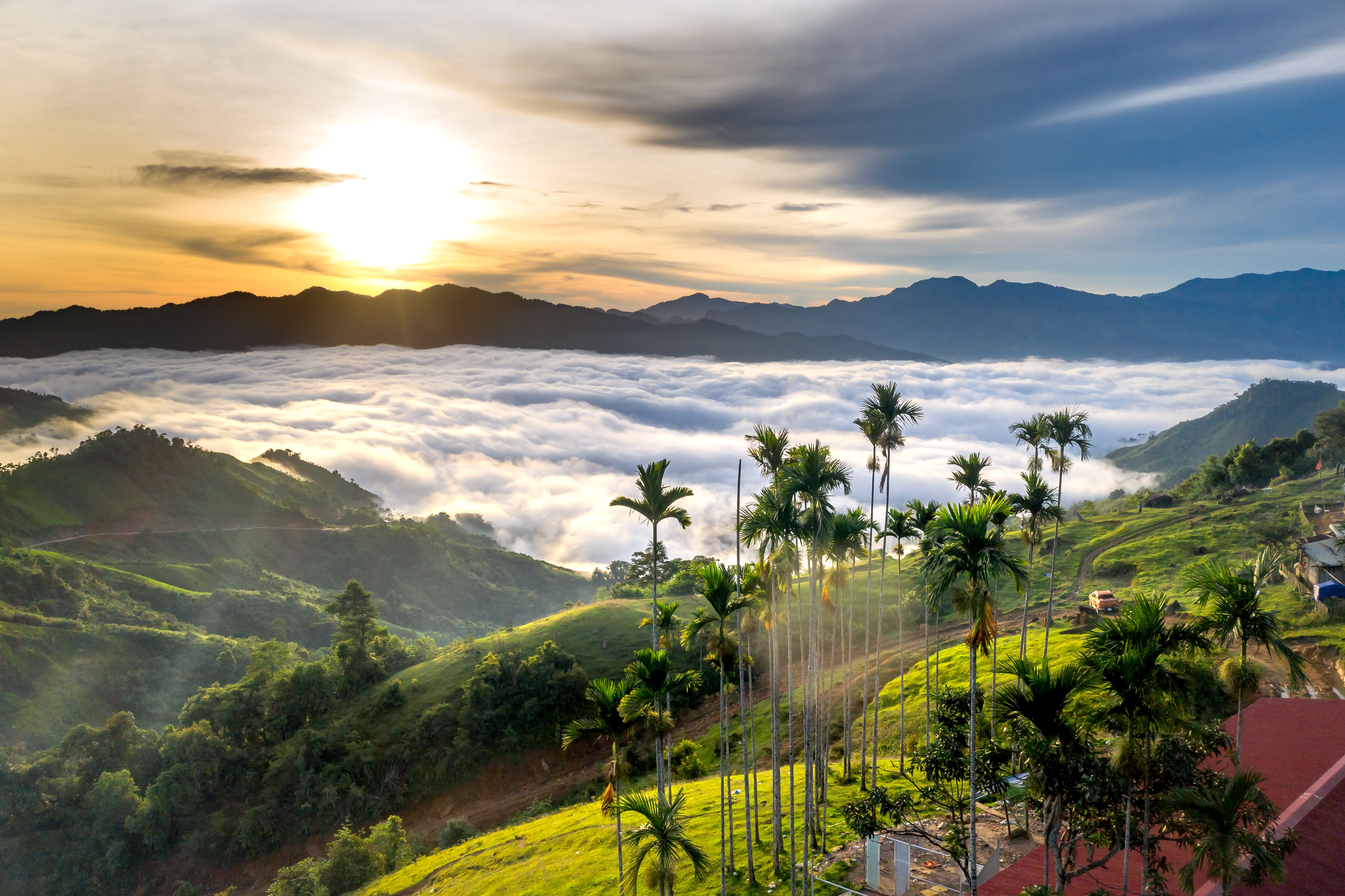 [ColoSach]-breathtaking-view-of-tropical-mountains-with-palm-trees-and-misty-clouds-at-sunset.