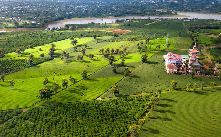 Green Rural Landscape In Summer