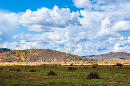 Foto profissional grátis de campina, campo de grama, céu azul