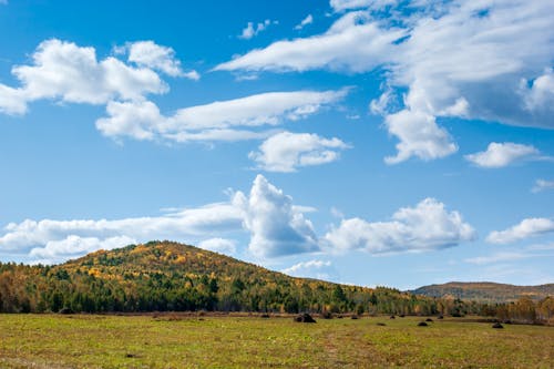 Gratis stockfoto met bergen, blauwe lucht, bomen