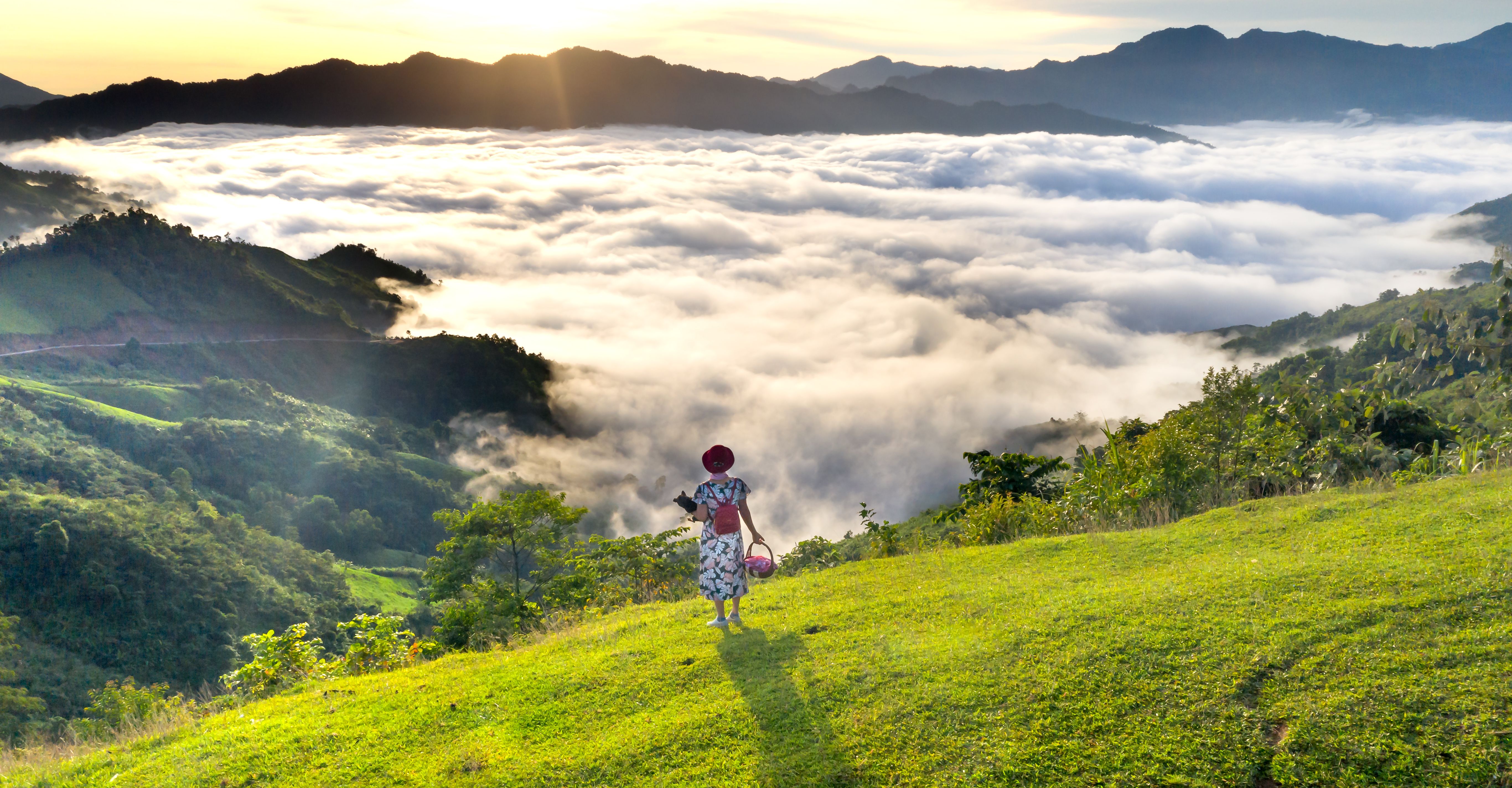 The future of tourism: Embracing destination readiness for sustainable growth — Photo by Quang Nguyen Vinh on Pexels