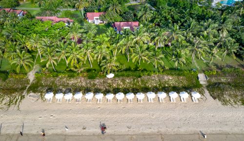 Free Aerial view of a tropical beach with palm trees and white umbrellas, perfect for travel inspiration. Stock Photo