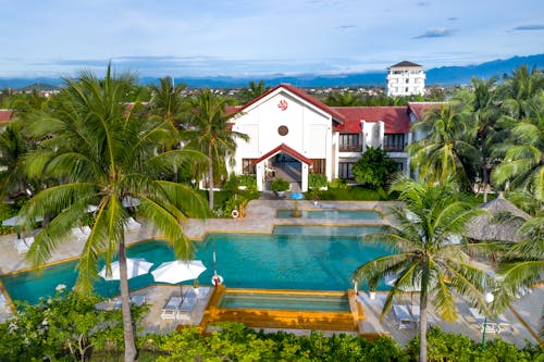 Green  Palm Trees Beside the Swimming Pool