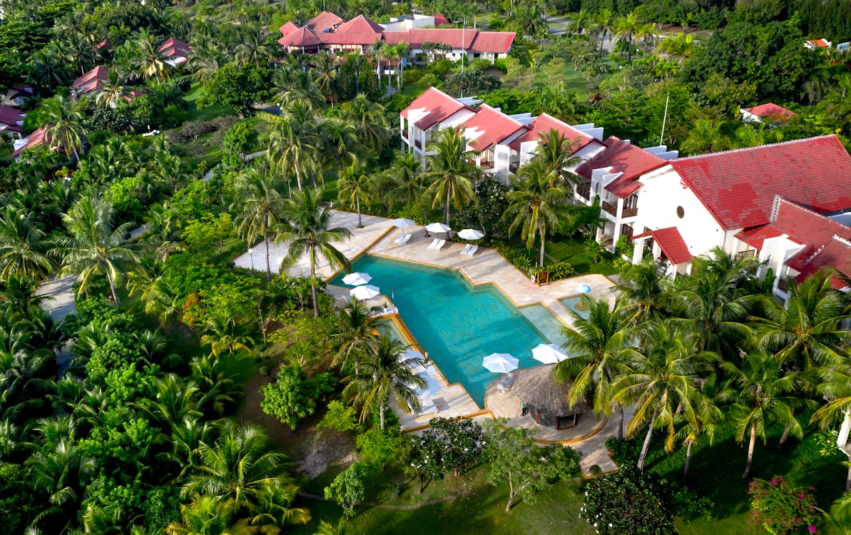 Aerial View of Swimming Pool Surrounded by Trees and Houses