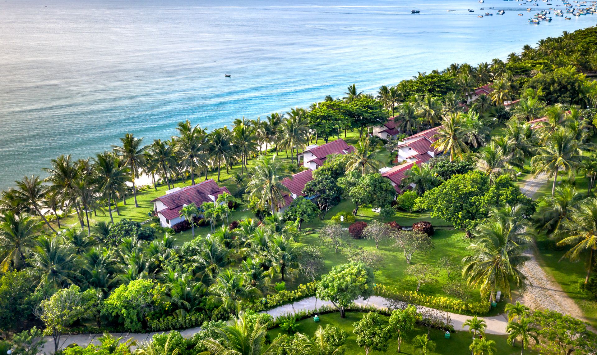 Luxury tropical villas surrounded by palm trees along a beautiful coastline.