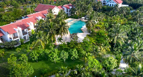 Swimming Pool Surrounded by Green Palm Trees