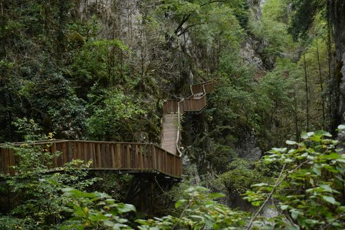 Free Explore the serene beauty of a wooden boardwalk winding through lush forested cliffs. Stock Photo