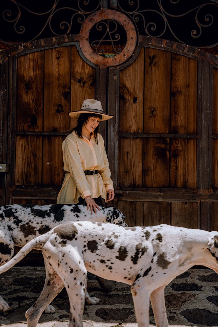 Woman In Peach Long Sleeve Shirt Petting Dalmatian Dogs In Front Of Wooden Gate With Wrought Iron Design