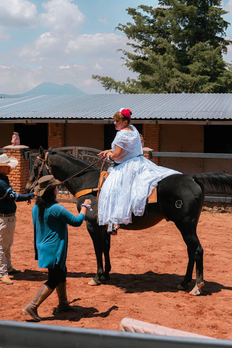 Woman In Dress Riding Horse On Farm