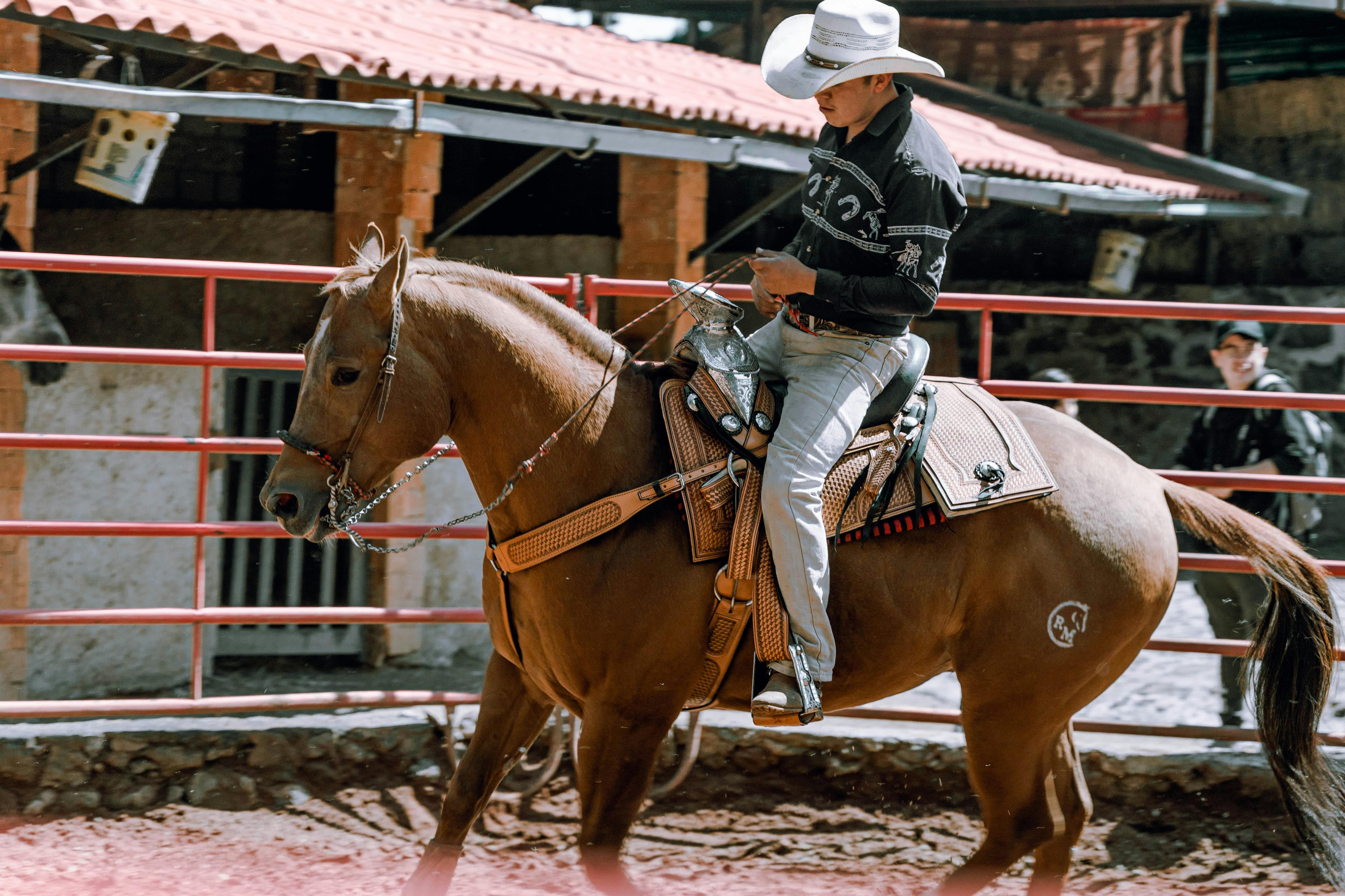 man on horse