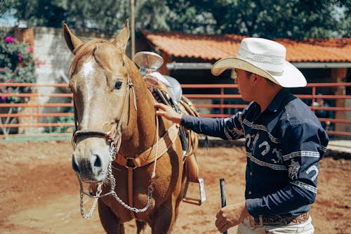 adam, at, çiftlik hayvanları içeren Ücretsiz stok fotoğraf