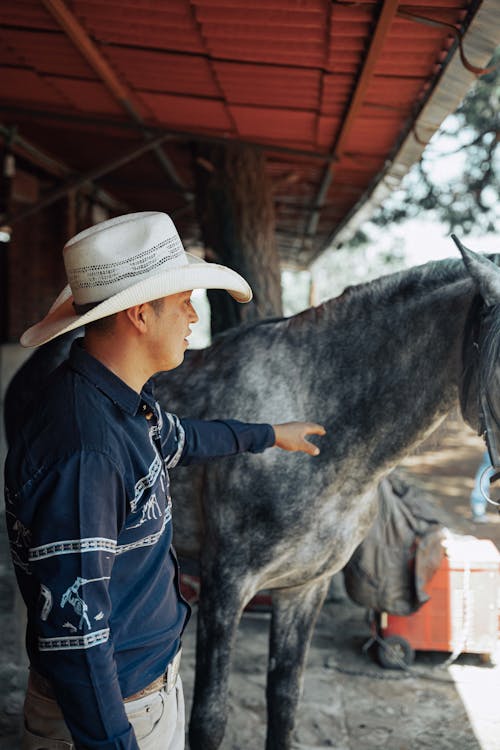 Man Touching a Horse