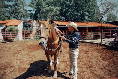 Man Standing Beside Brown Horse