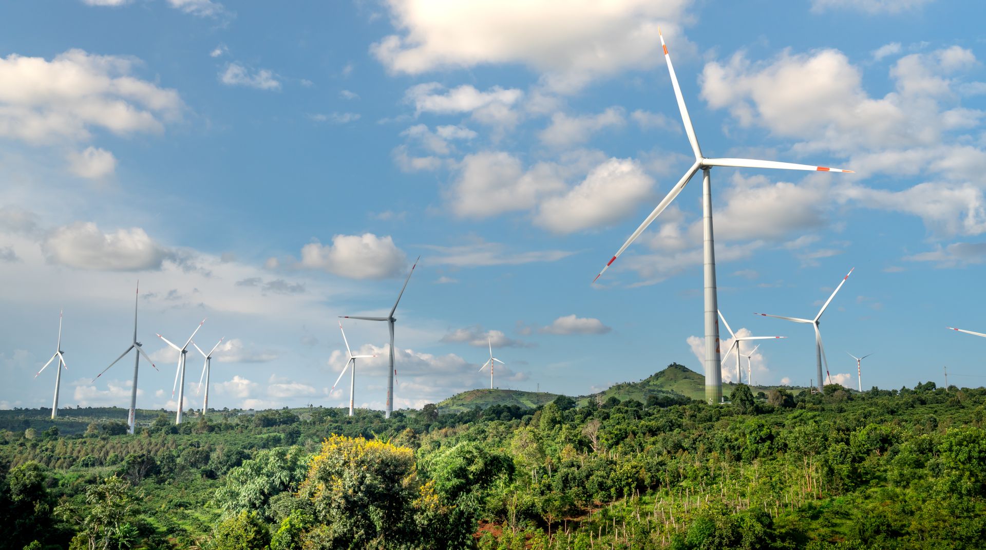 Wind turbines generating clean energy against a blue sky and vibrant green landscape.