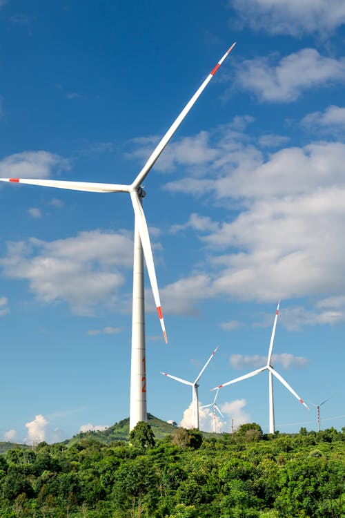 Wind Farm Turbines in Summer