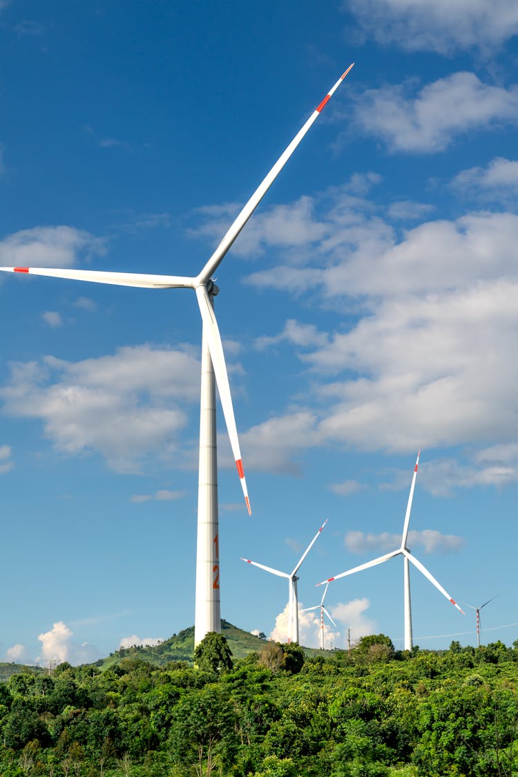 Wind Farm Turbines In Summer