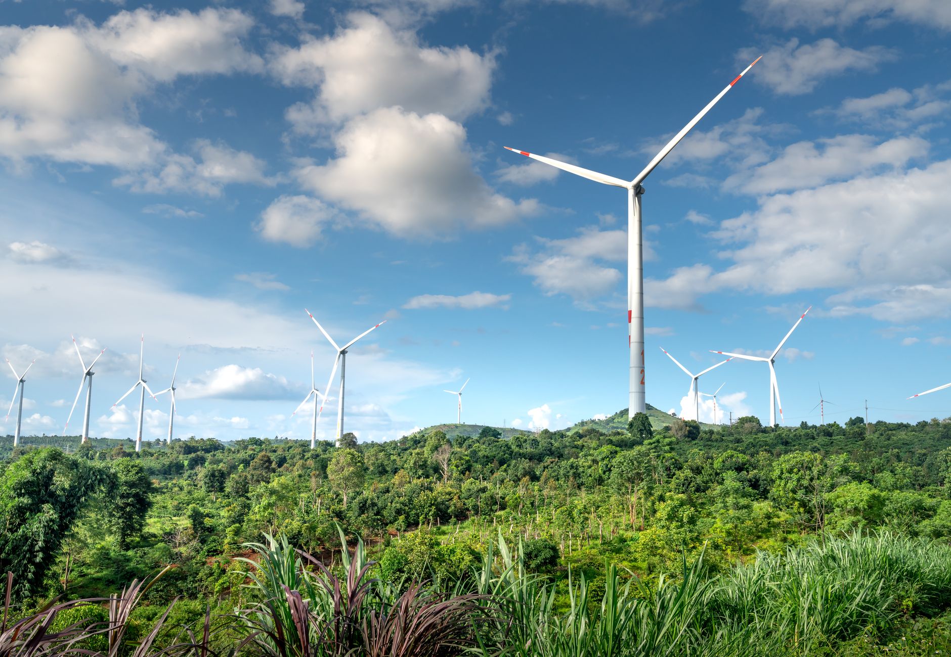 Eólica Offshore no Brasil: Uma Nova Fronteira Energética para Executivos