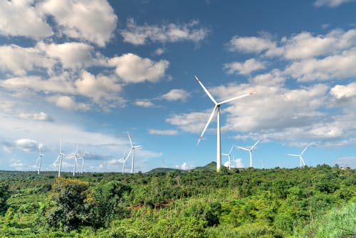 Clouds over a Forest Wind Farm in Summer