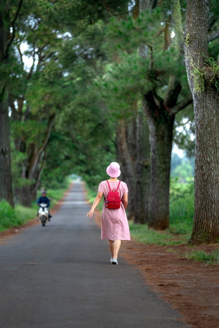 Woman In Beige Dress And Summer Hat Walking On Pathway Between Trees