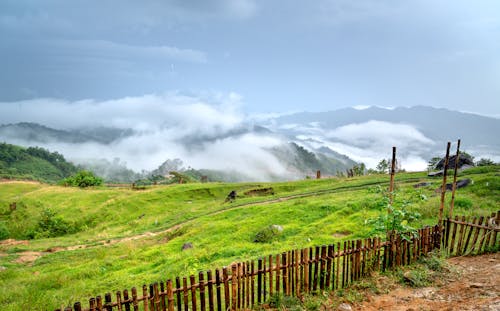 Wooden Fence on a Grass Field