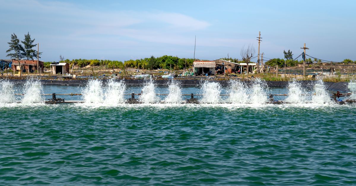 Aquaculture farm aerators creating ripples and splashes, under clear blue skies.