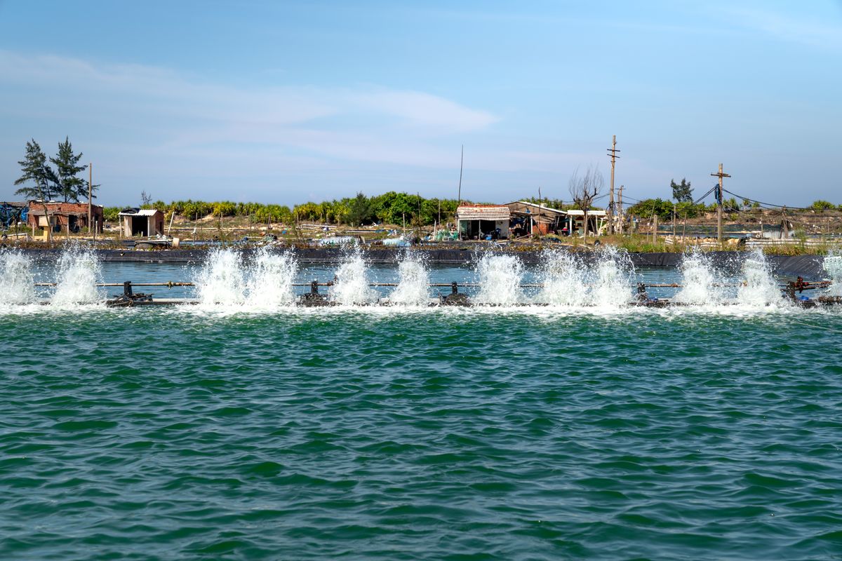Aquaculture farm aerators creating ripples and splashes, under clear blue skies. Illustrative editorial photograph.