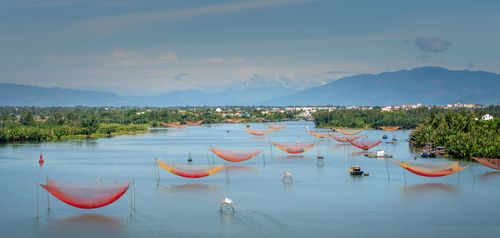 Free Arial view of vibrant fishing nets spread across a peaceful tropical river scene. Stock Photo